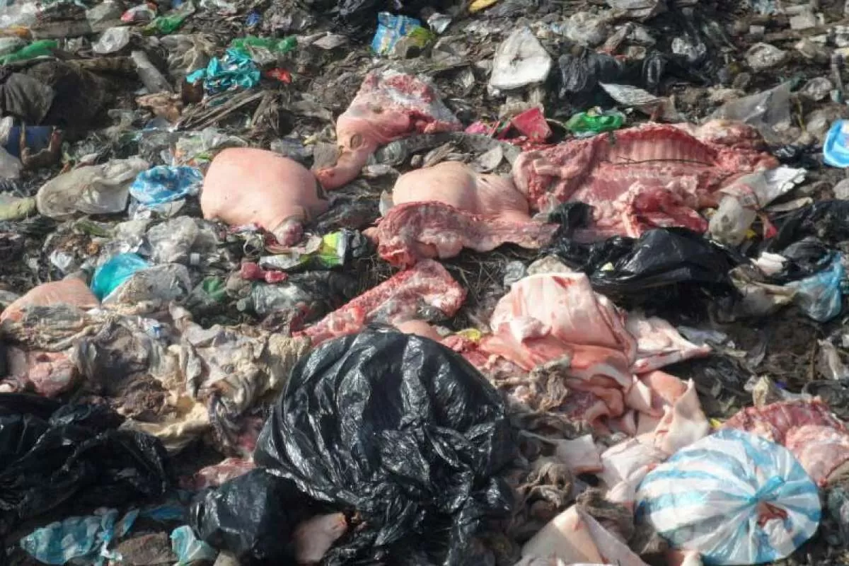 La Unidad de Salud de Arauca informó que el producto decomisado fue incinerado, de acuerdo a la orientación de la normatividad, no se donó a ninguna institución, debido al estado de las carnes.